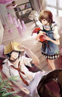 網遊之菜鳥很瘋狂